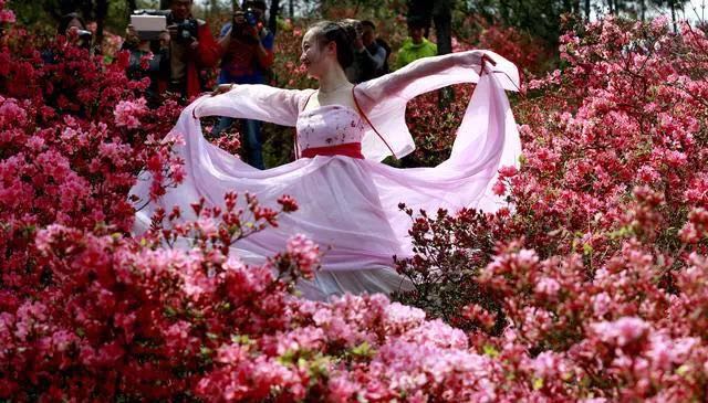 赏花、听曲、看明星，梨兰会嗨翻天！(图14)