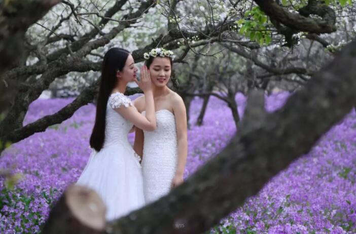赏花、听曲、看明星，梨兰会嗨翻天！(图6)