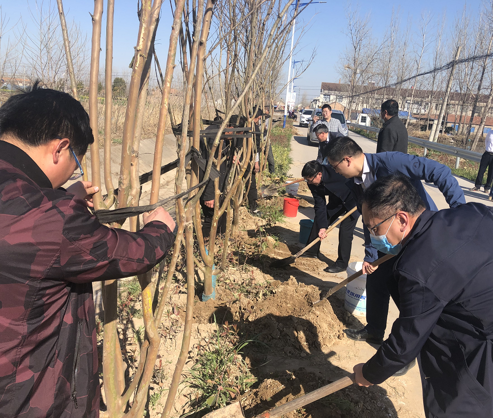 市文旅集团向挂钩帮扶村送树苗(图1)