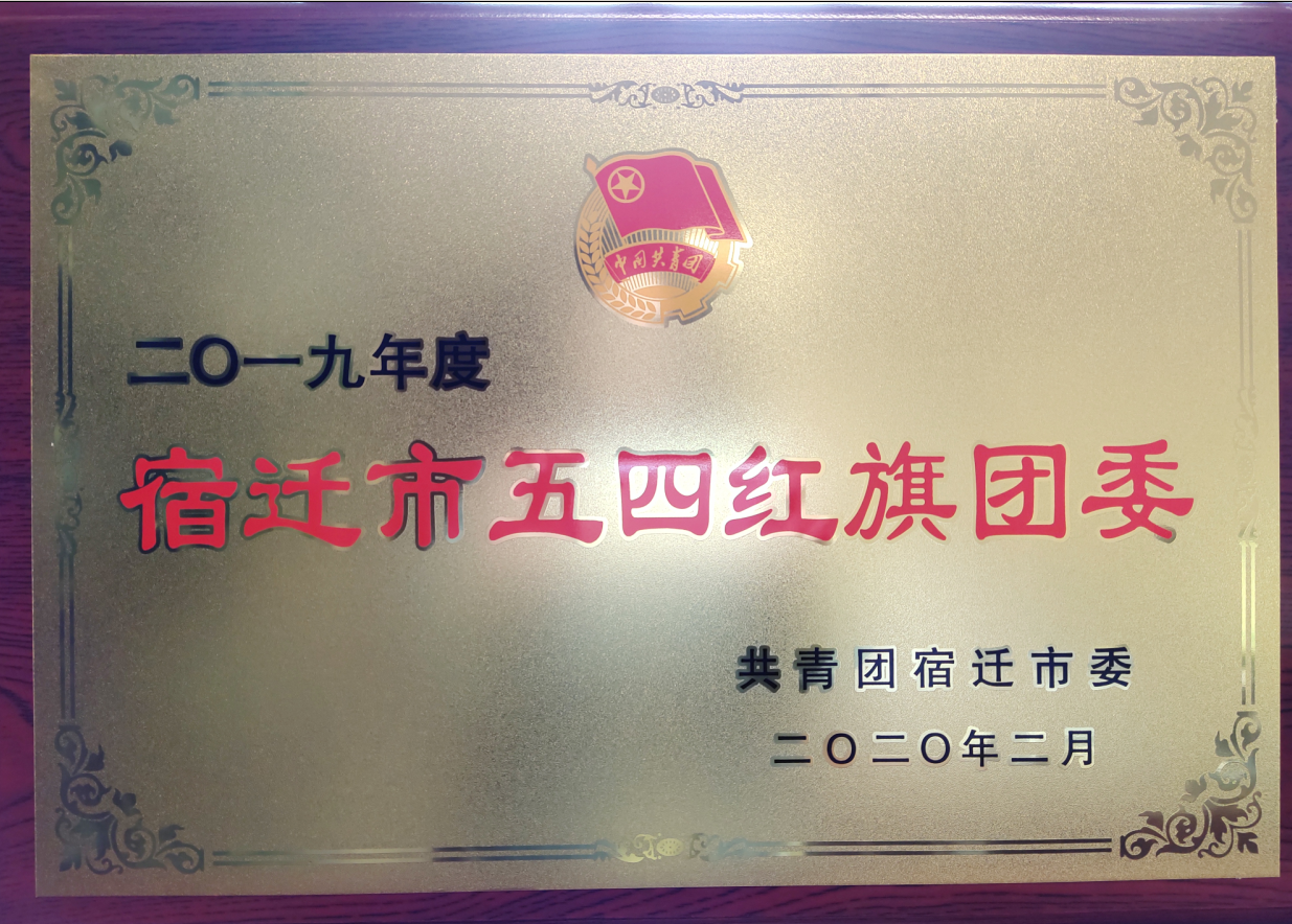市文旅集团获评“宿迁市五四红旗团委” “宿迁市五四红旗团支部（总支）”(图1)
