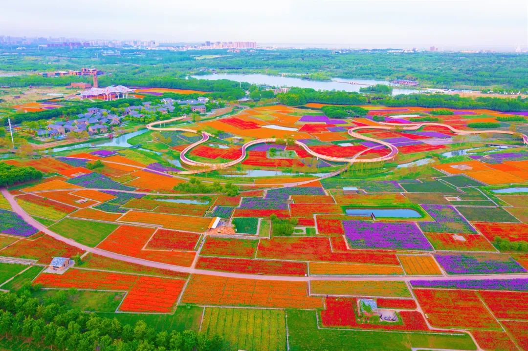 关于三台山景区恢复开园的公告(图6)