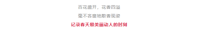 关于三台山景区恢复开园的公告(图10)