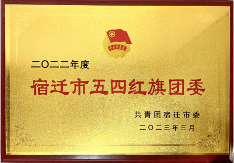 喜报！宿迁文旅集团共青团工作荣获多项荣誉(图2)