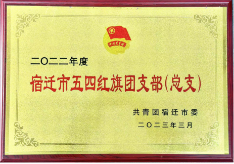 喜报！宿迁文旅集团共青团工作荣获多项荣誉(图3)