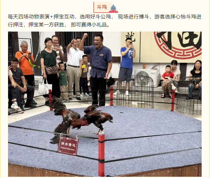 国庆文旅嘉年华，嗨翻假期乐不停！(图4)