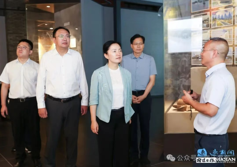 盛蕾调研大运河文化带宿迁段建设工作(图2)