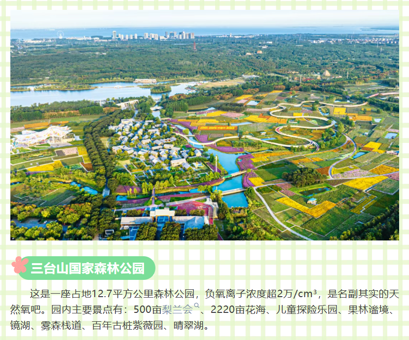 春假带娃游宿迁，最新文旅研学游指南出炉！(图5)